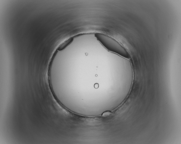 X0000111471189200908031353