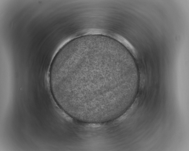 X0000111471190200908031353