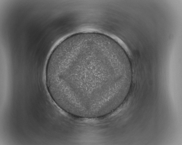 X0000111471191200908031353