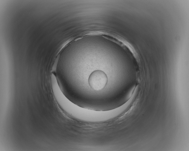 X0000111471193200908031353