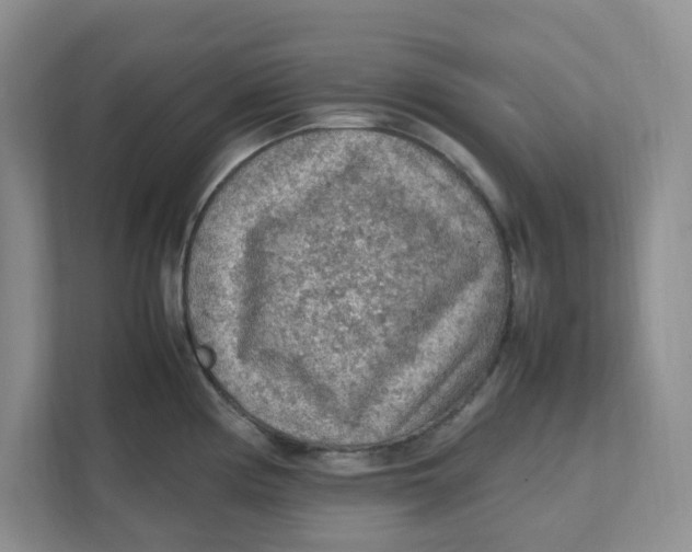 X0000111471194200908031353