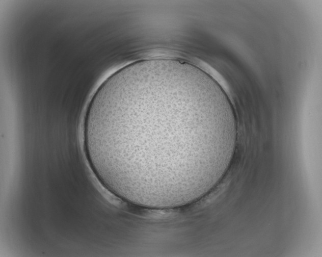 X0000111471195200908031353