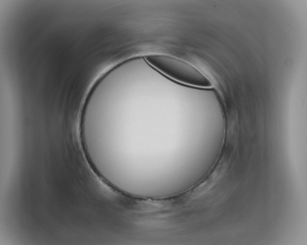 X0000111471197200908031353