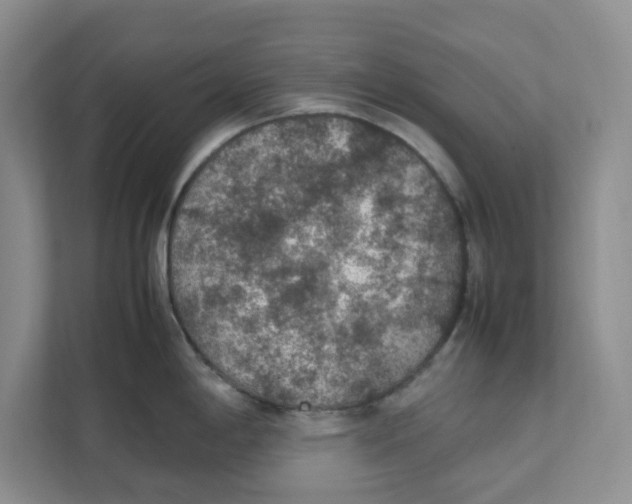 X0000111471198200908031353