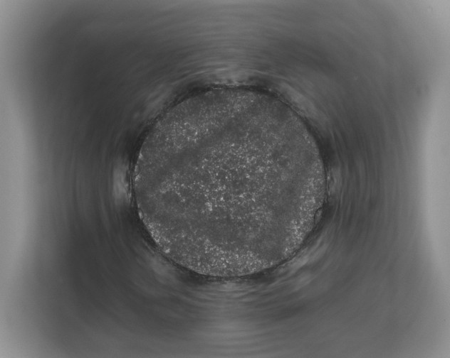 X0000111471202200908031353