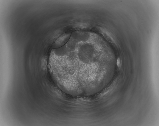 X0000111471203200908031353