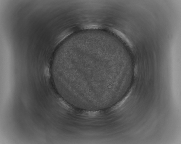 X0000111471209200908031353