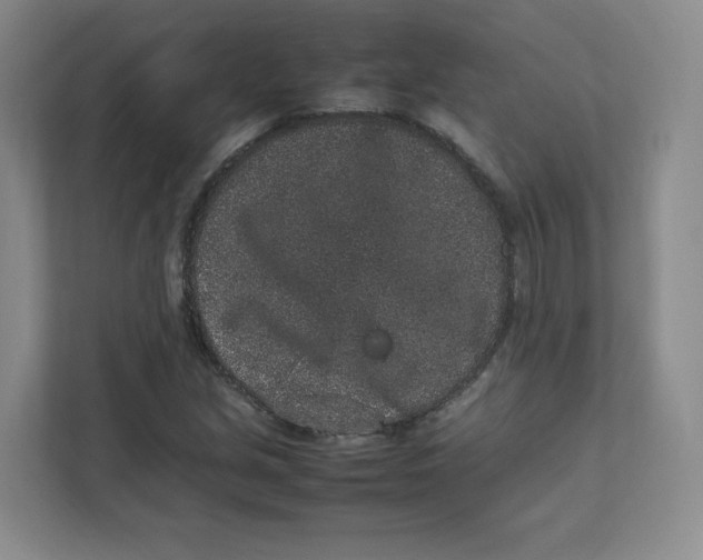 X0000111471213200908031353