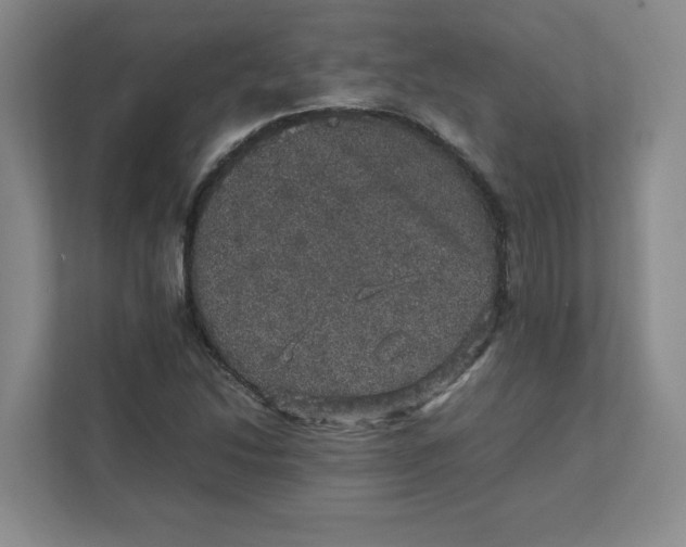 X0000111471214200908031353