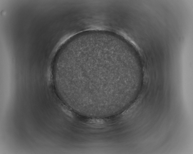 X0000111471215200908031353