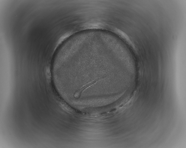 X0000111471218200908031353