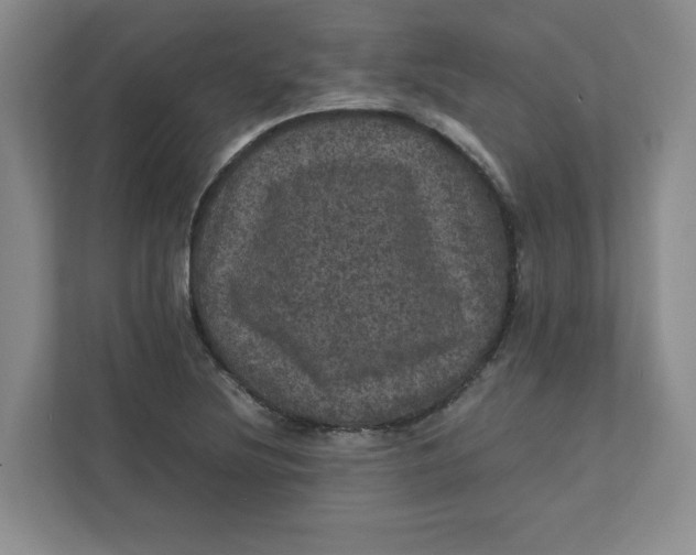 X0000111471220200908031353