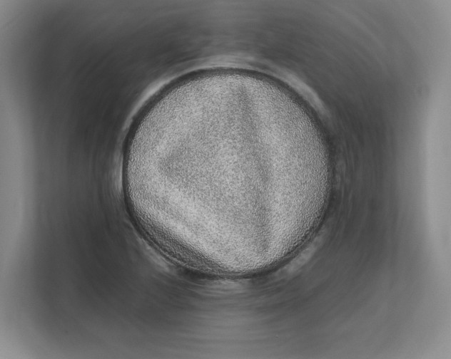 X0000111471224200908031353