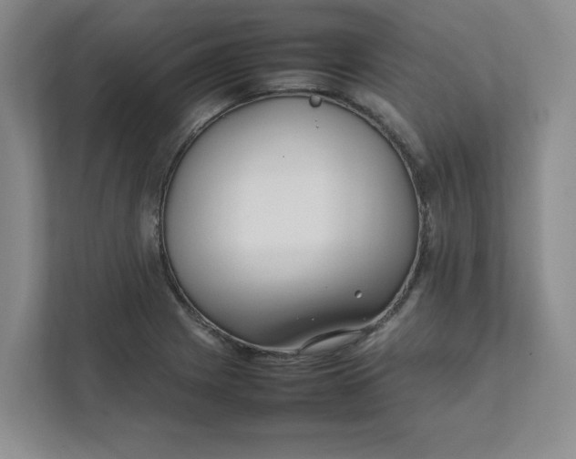 X0000111471225200908031353