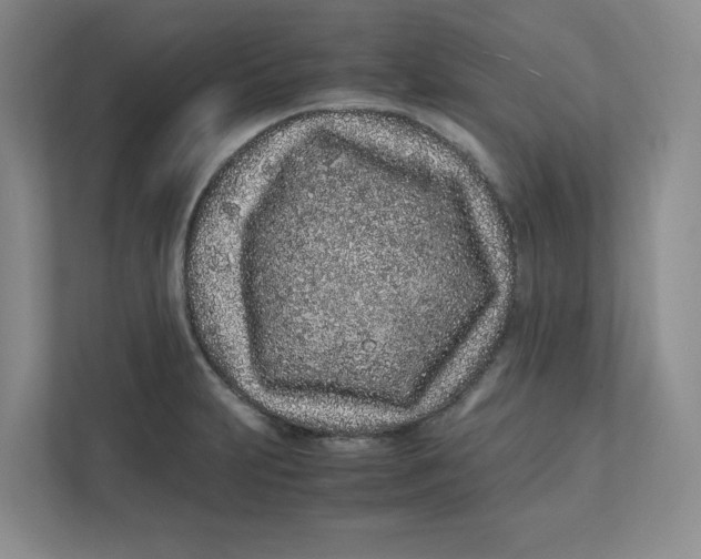 X0000111471231200908031353