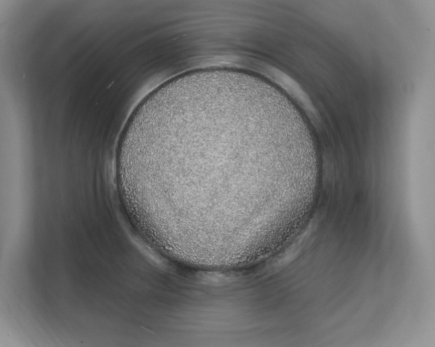 X0000111471234200908031353