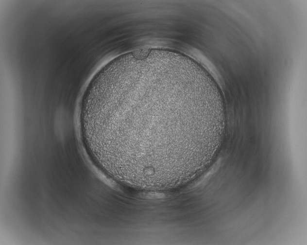 X0000111471235200908031353