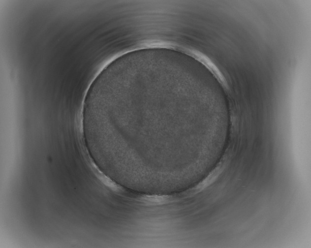 X0000111471236200908031353