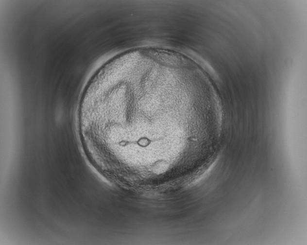 X0000111471239200908031353