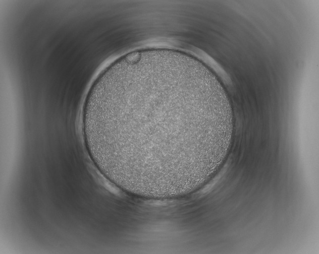 X0000111471240200908031353