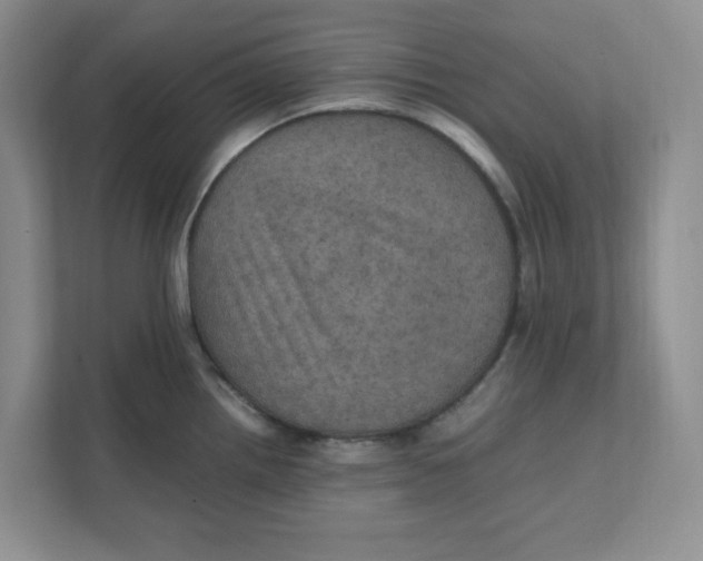 X0000111471242200908031353