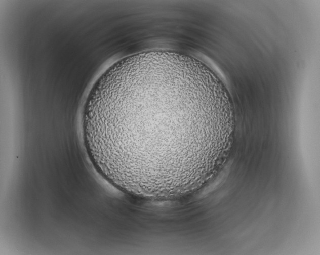 X0000111471243200908031353