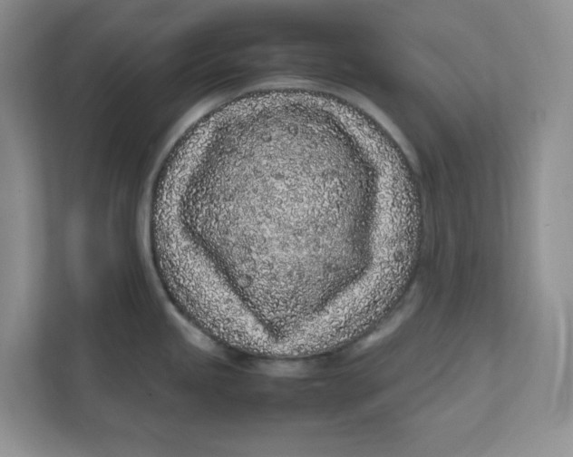 X0000111471245200908031353