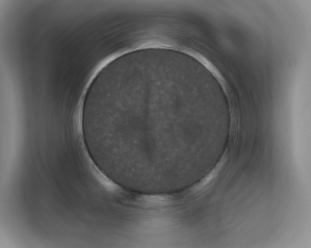 X0000111471246200908031353