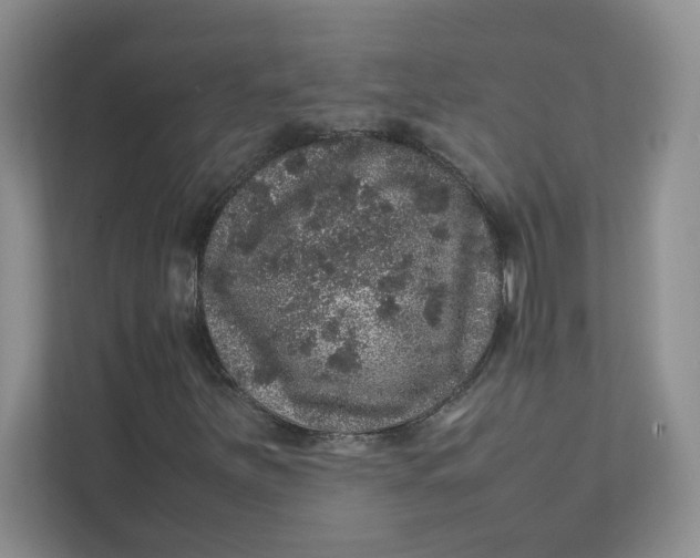 X0000111471251200908031353