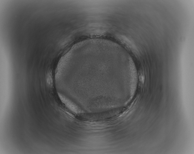 X0000111471252200908031353