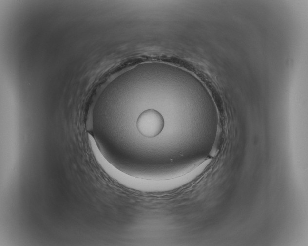 X0000111471253200908031353