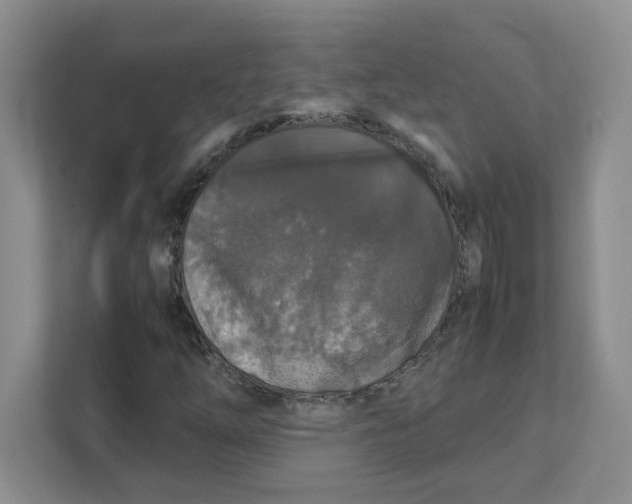 X0000111471254200908031353