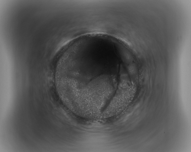 X0000111471255200908031353