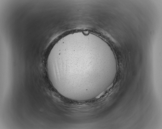 X0000111471256200908031353