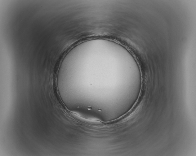 X0000111471257200908031353