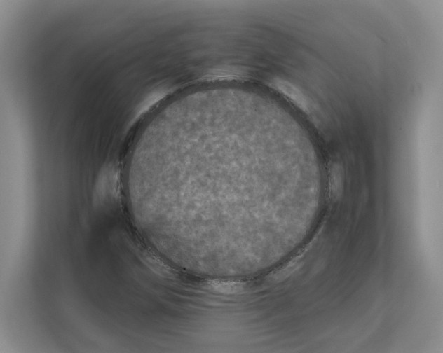 X0000111471258200908031353