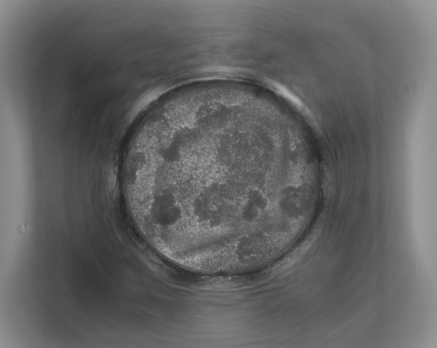 X0000111471259200908031353