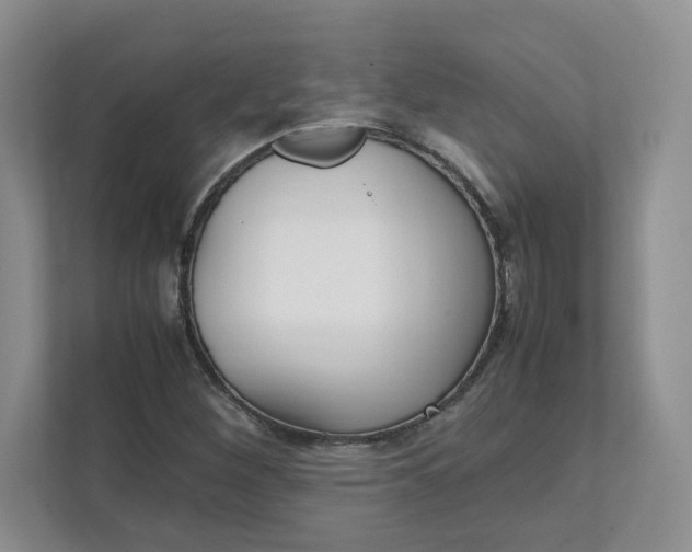 X0000111471260200908031353