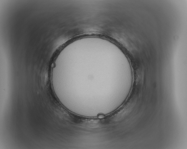 X0000111471261200908031353