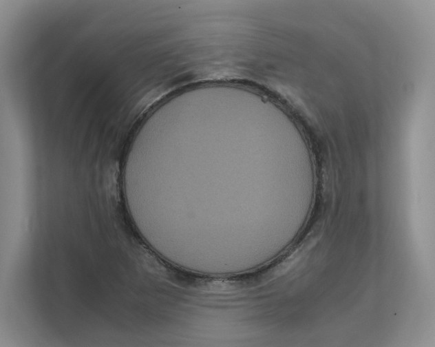 X0000111471265200908031352