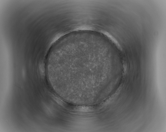 X0000111471266200908031352