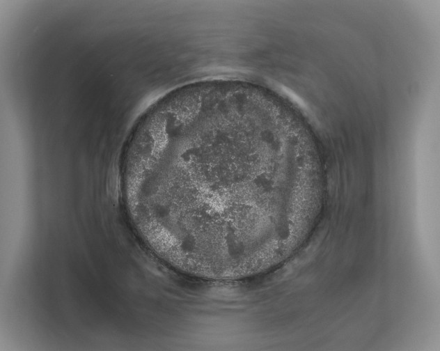 X0000111471267200908031352