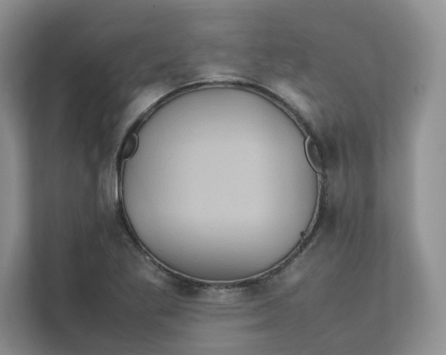 X0000111471269200908031352