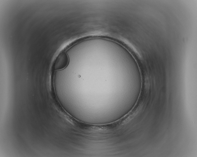 X0000111471270200908031352