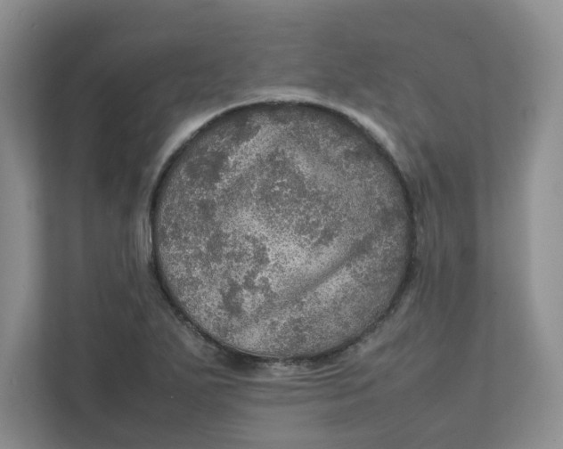 X0000111471271200908031352