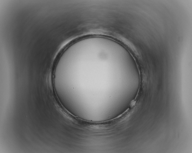 X0000111471272200908031352