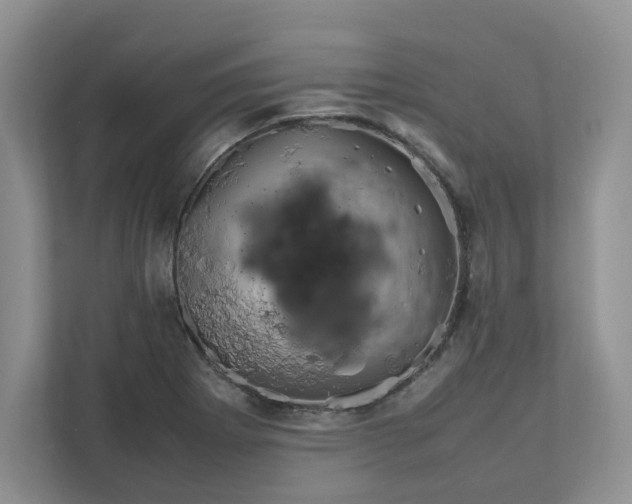 X0000111471273200908031352