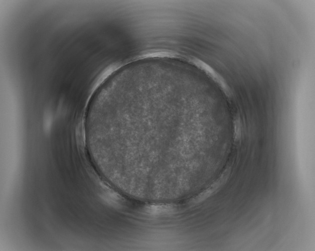 X0000111471274200908031352