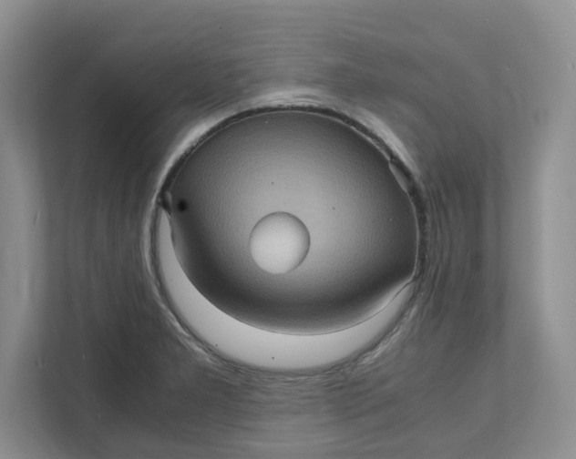 X0000111471277200908031352