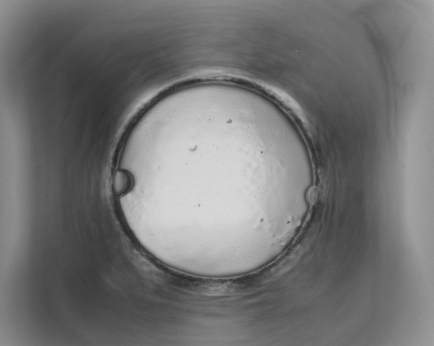 X0000111471279200908031352